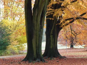 Ein-Paar-Zusammen-sind-wir-unschlagbar